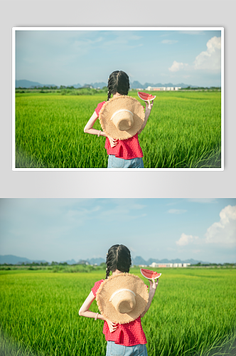 系带蝴蝶结吊带夏季稻田女生人物摄影图片