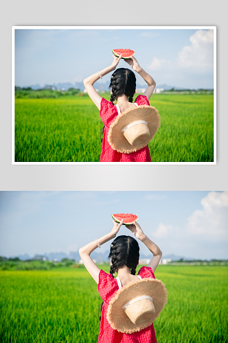 夏日红衣青春少女稻田人物摄影图片