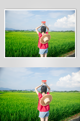 夏日红衣青春少女稻田人物摄影图片