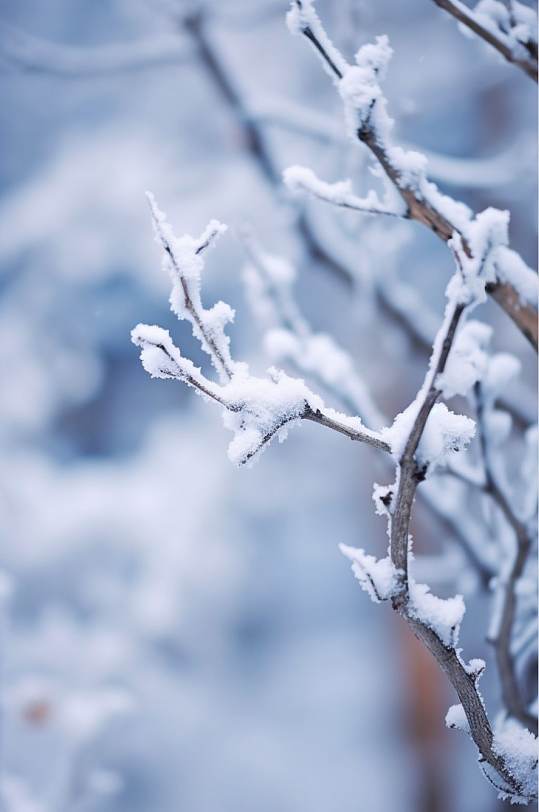 AI数字艺术下雪二十四节气大雪摄影图片