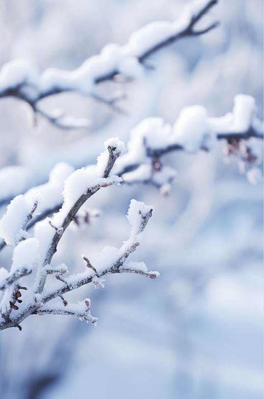 AI数字艺术下雪二十四节气大雪摄影图片