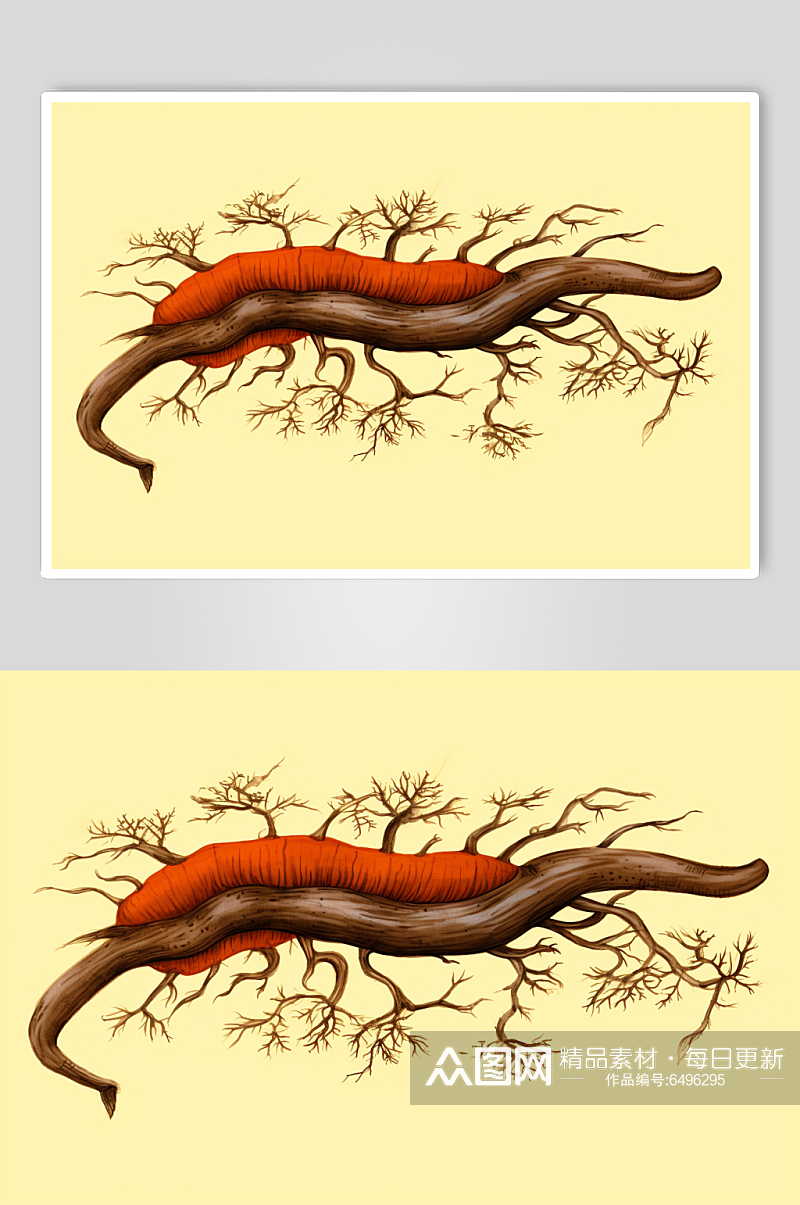 AI数字艺术冬虫夏草中草药药材插画素材