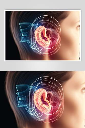 AI数字艺术医疗耳部构造模型