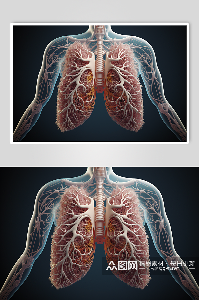 AI数字艺术医疗肺部图片素材