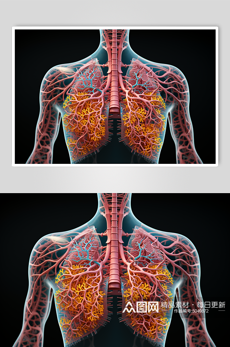 AI数字艺术医疗肺部图片素材