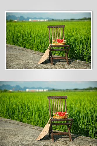 乡村稻田夏季自然风景摄影图片