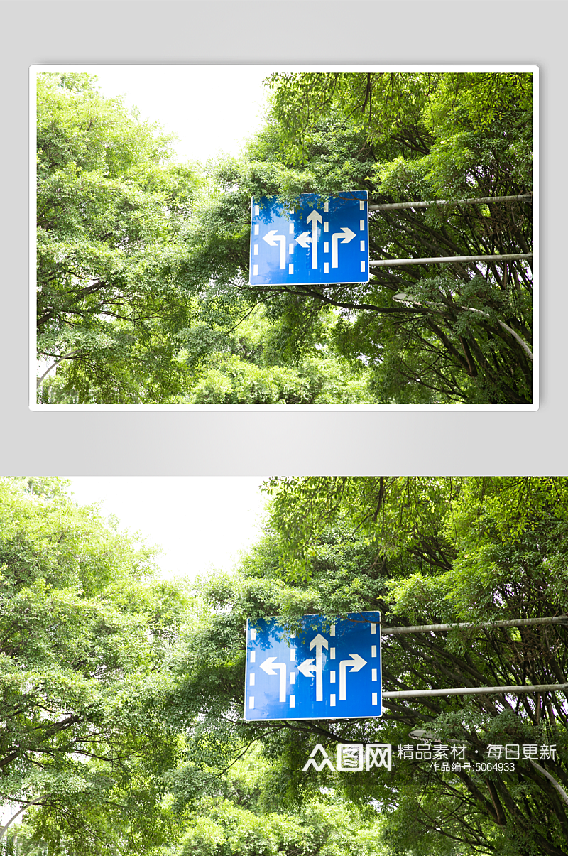分向行驶警示牌风景景点摄影图片素材