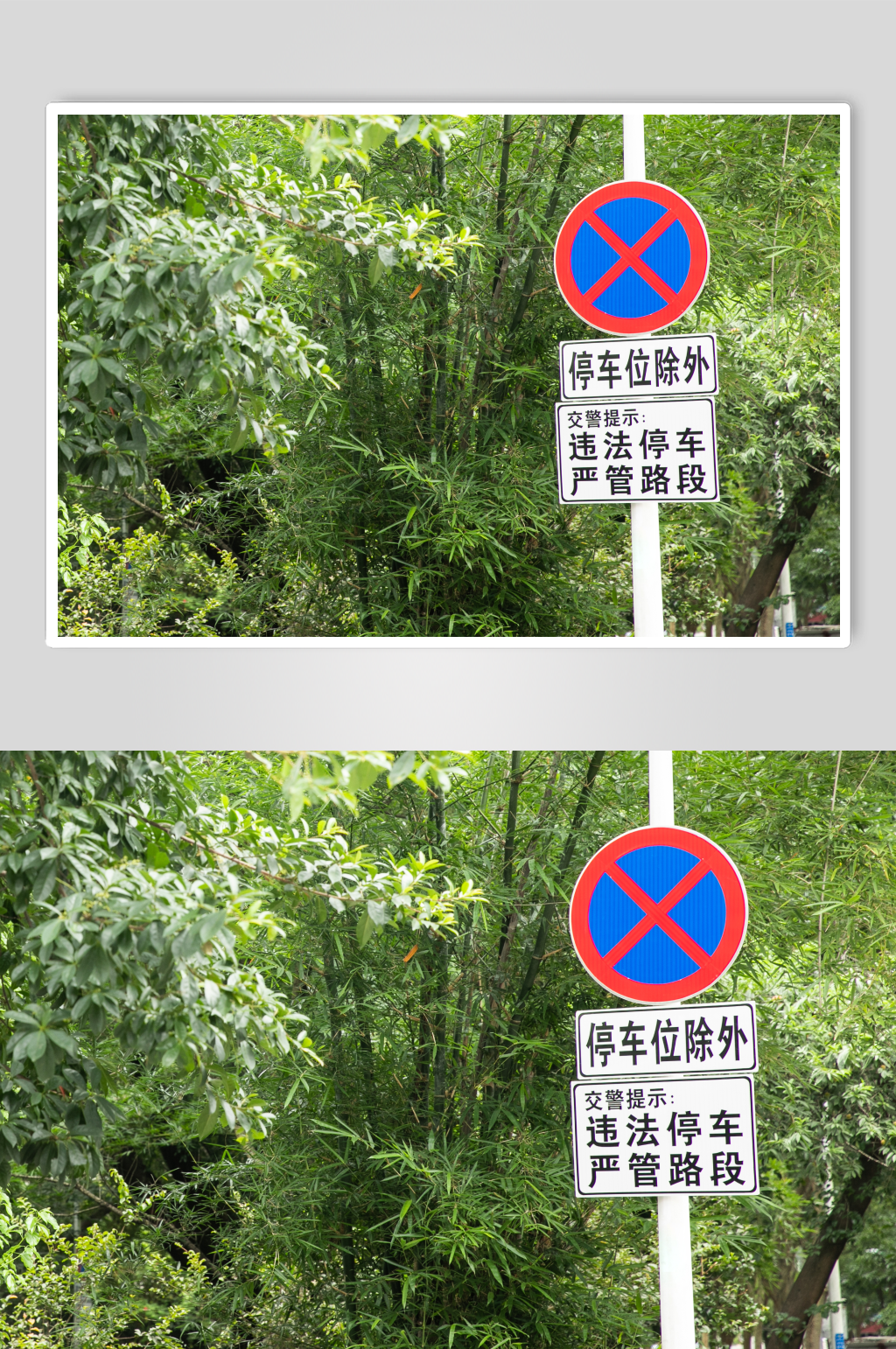 禁止停车警示牌风景景点摄影图片素材