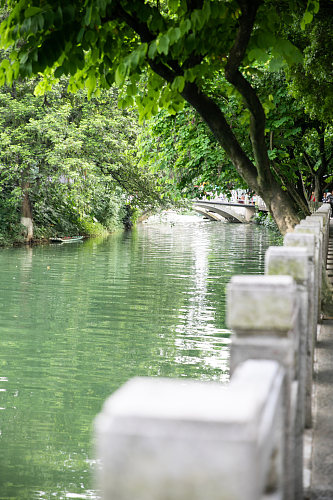 绿色植物风景景点摄影图片