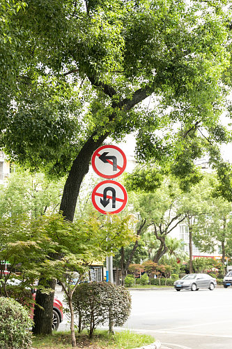 禁止左转安全警示牌风景景点摄影图片