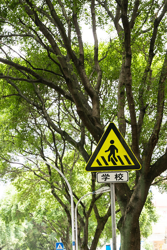 学校路段警示牌风景景点摄影图片