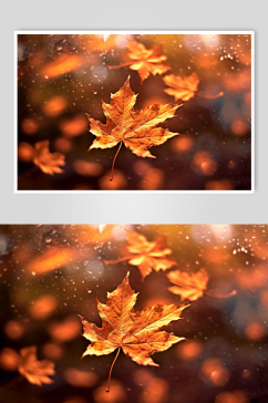 AI数字艺术秋季红色枫叶枫林摄影图片