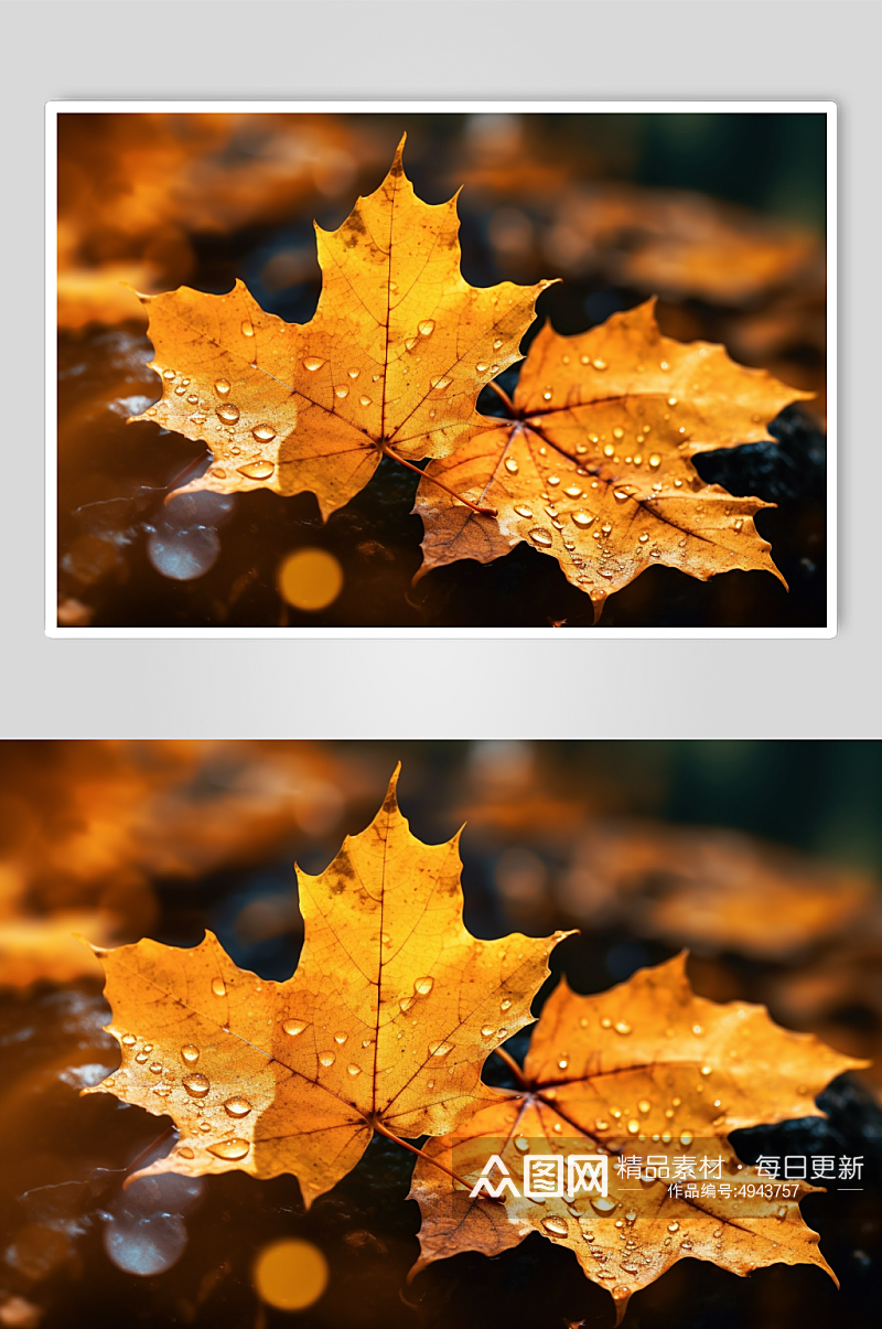 AI数字艺术秋季秋季红色枫叶枫林摄影图片素材