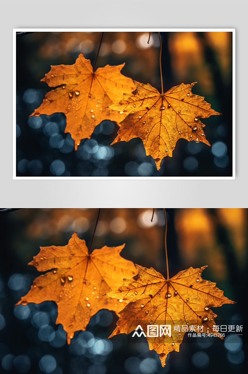 AI数字艺术秋季红色枫叶枫林摄影图片素材