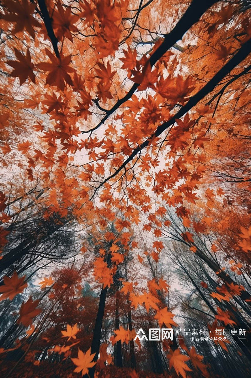 AI数字艺术秋天红色枫叶枫林摄影图片素材