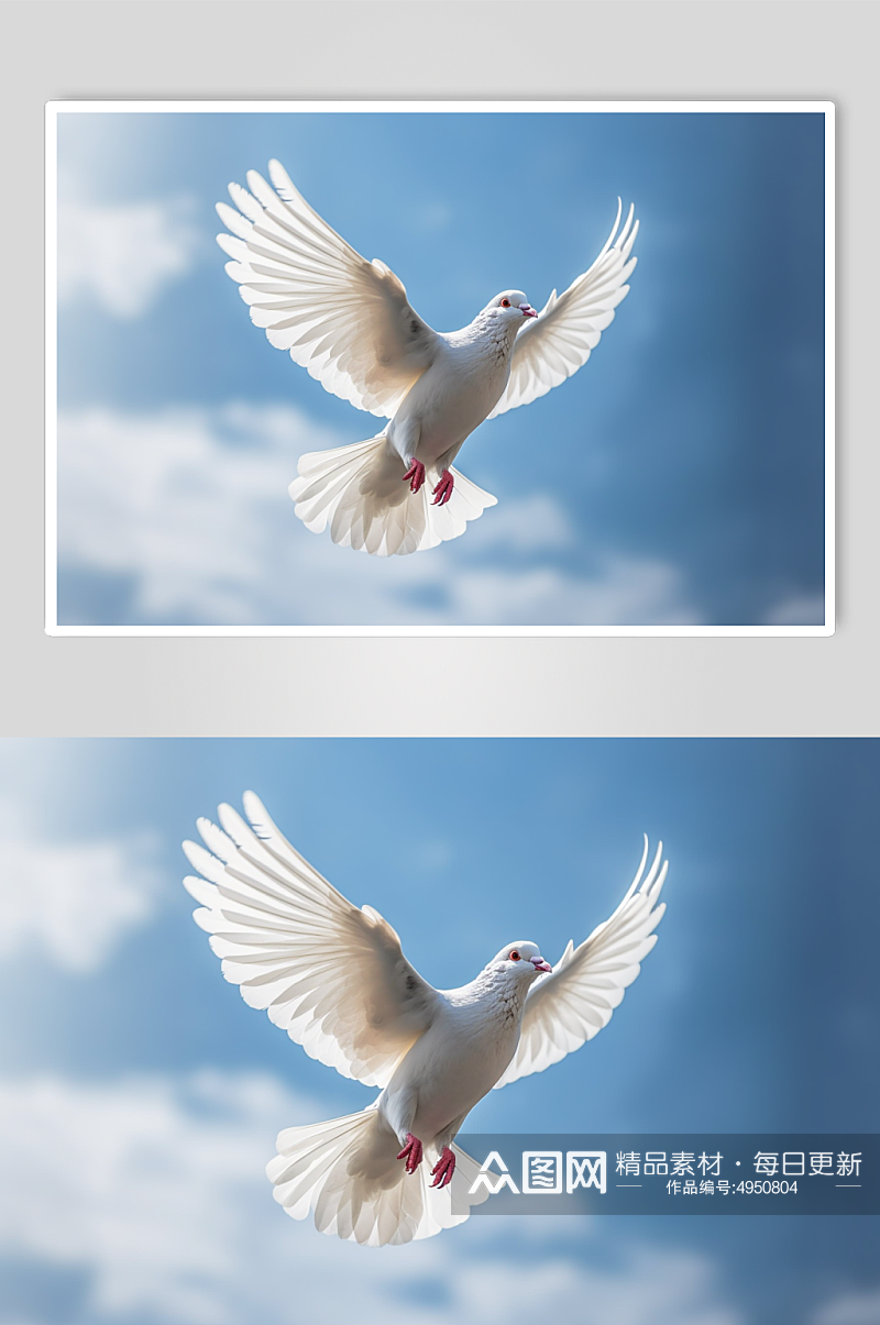 AI数字艺术高清可爱鸽子动物摄影图片素材