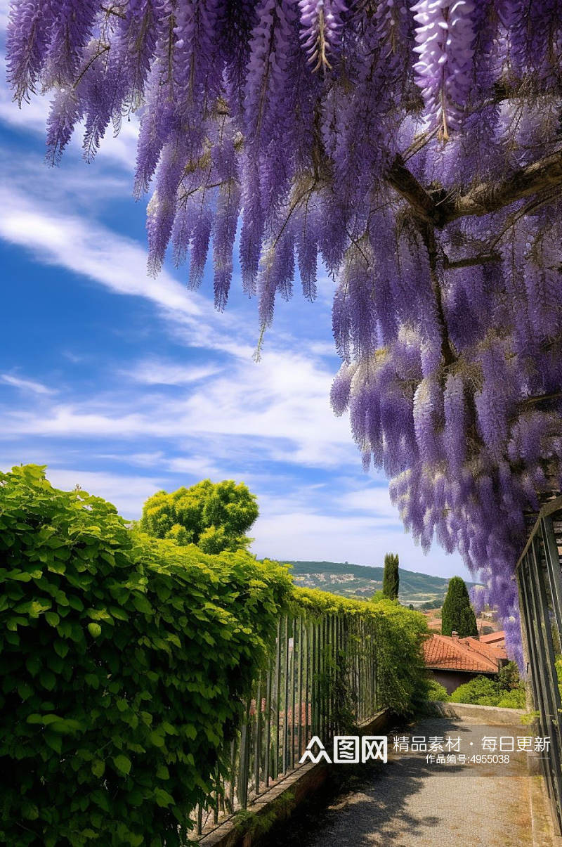 AI数字艺术紫藤树花园花丛公园摄影图片素材