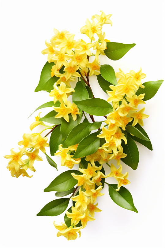 AI数字艺术秋季桂花元素模型-众图网