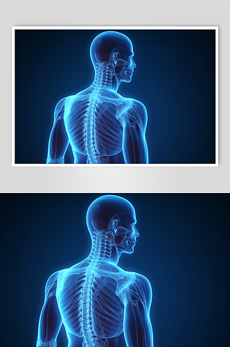 AI数字艺术医疗骨科图片