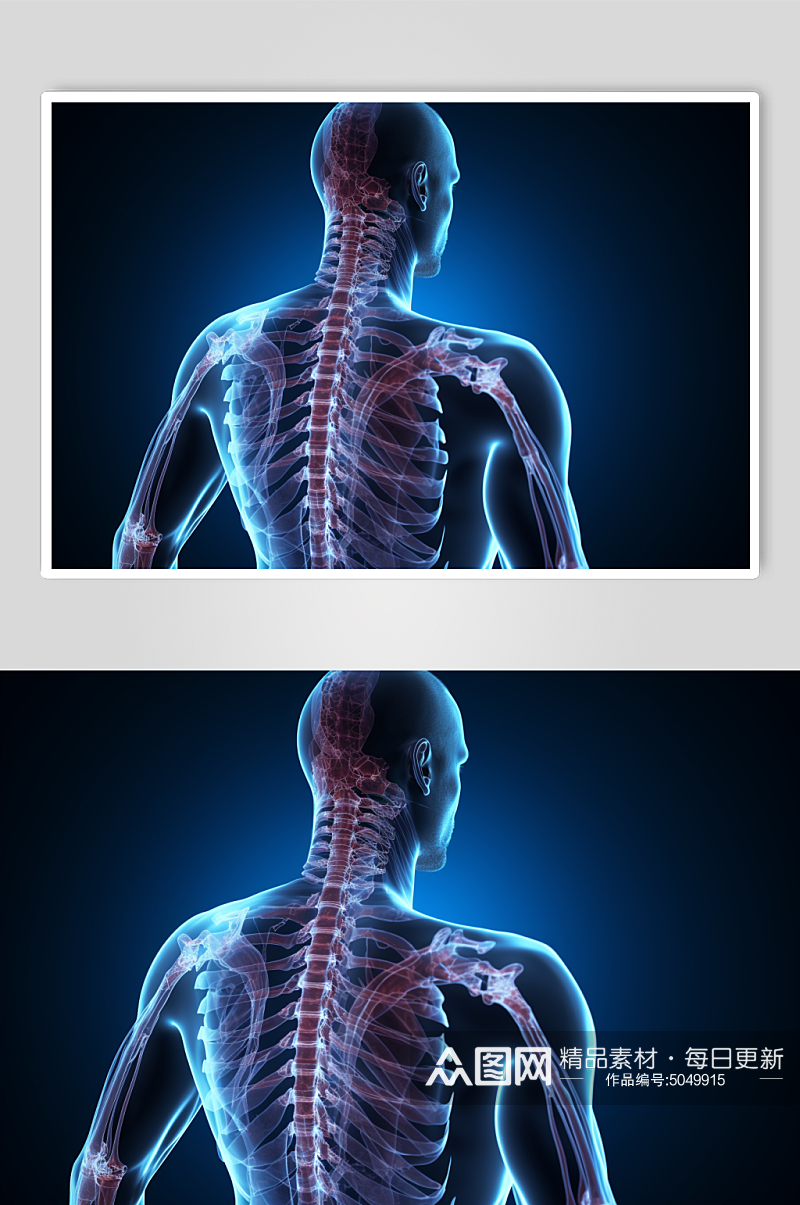 AI数字艺术医疗骨科图片素材