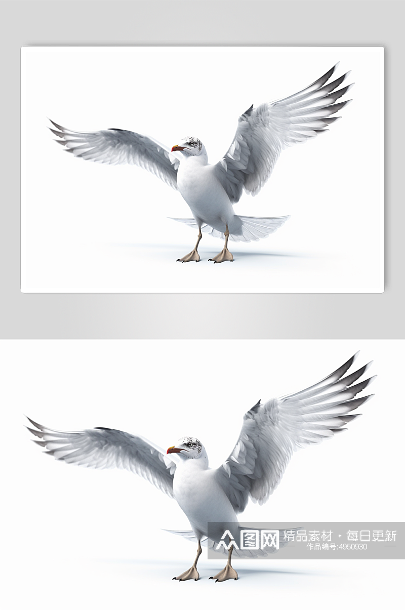 AI数字艺术高清海鸥动物摄影图片素材