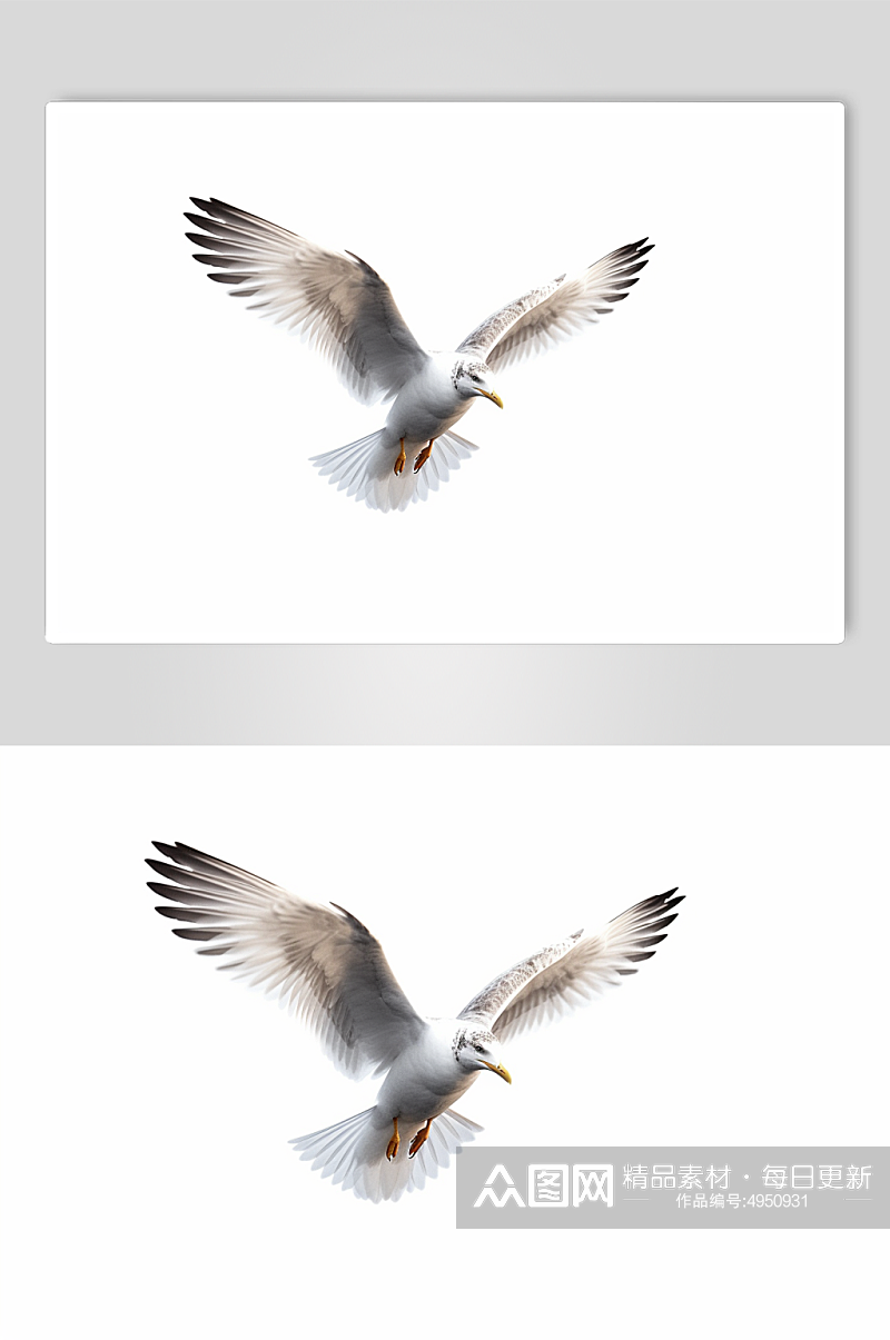 AI数字艺术可爱海鸥动物摄影图片素材