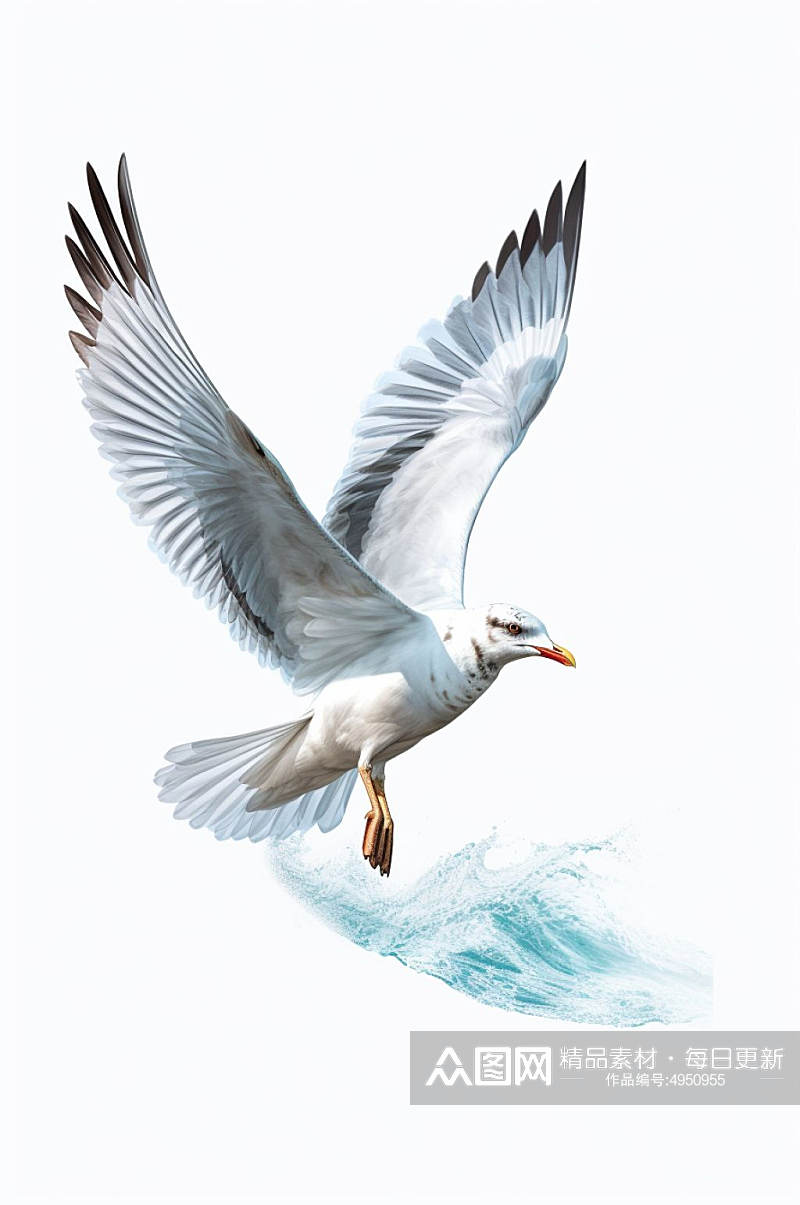 AI数字艺术可爱海鸥动物摄影图片素材