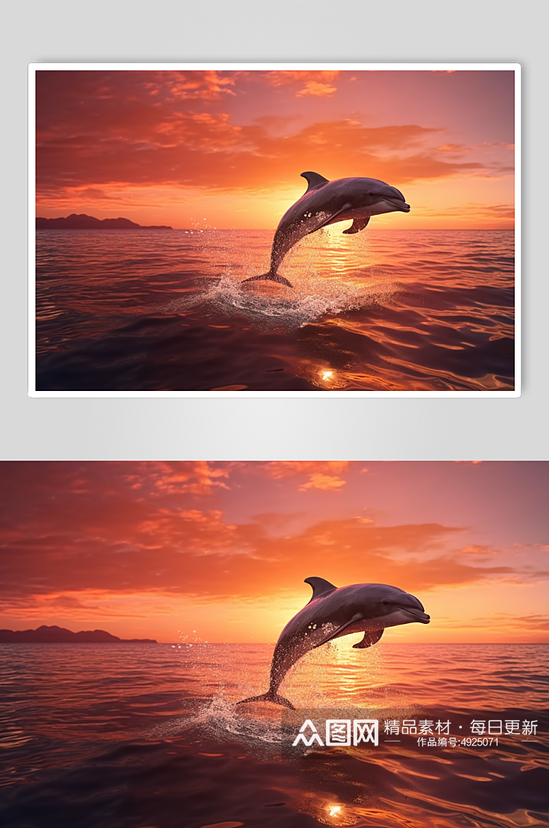AI数字艺术卡通海豚海洋动物摄影图片素材