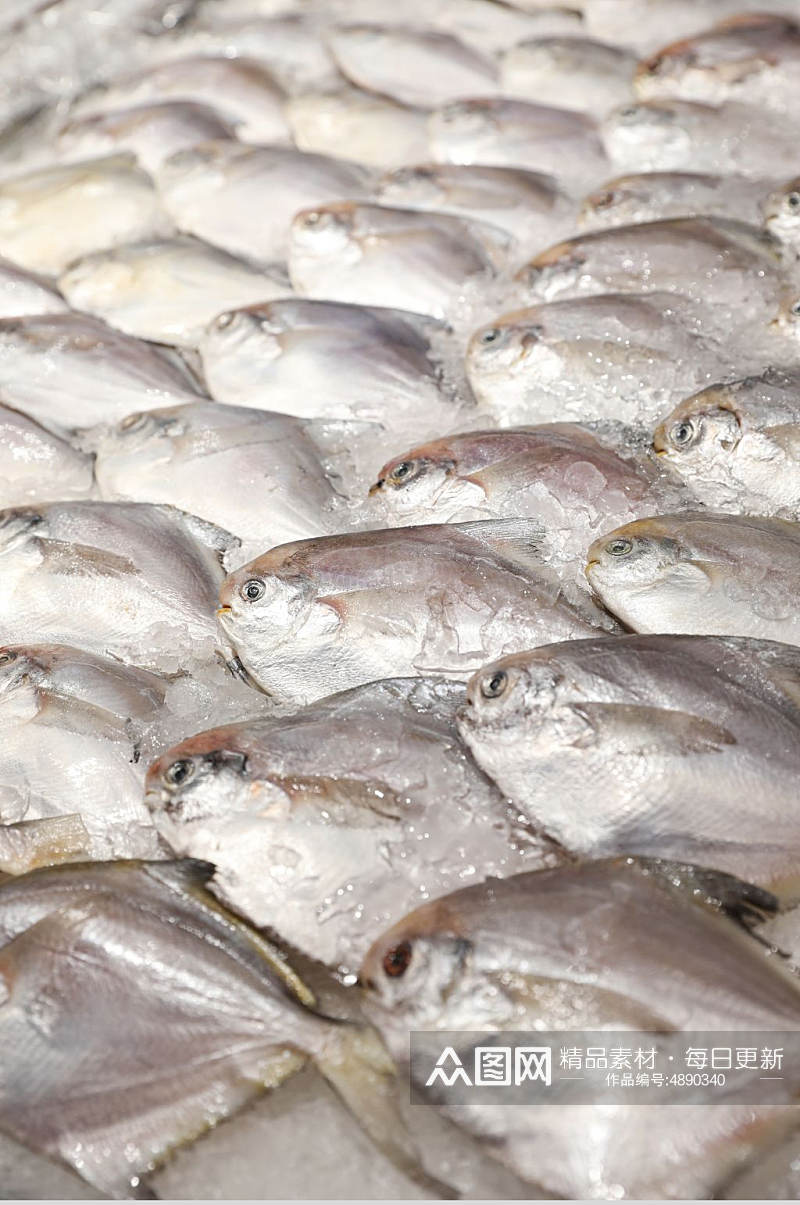 海鲜市场白鲳鱼海鲜美食摄影图片素材