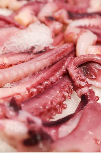 生鲜海鲜市场鱿鱼须海鲜摄影图片