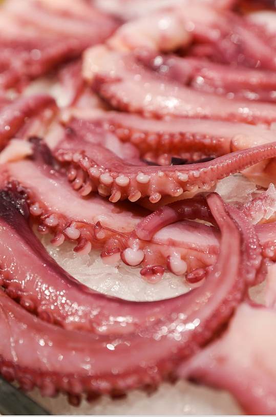 生鲜海鲜市场鱿鱼须海鲜摄影图片