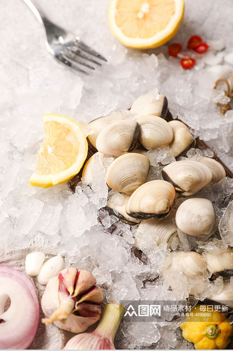新鲜美味蛤蜊生鲜海鲜美食摄影图片素材