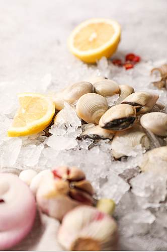 新鲜美味蛤蜊生鲜海鲜美食摄影图片