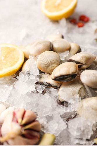 新鲜美味蛤蜊生鲜海鲜美食摄影图片