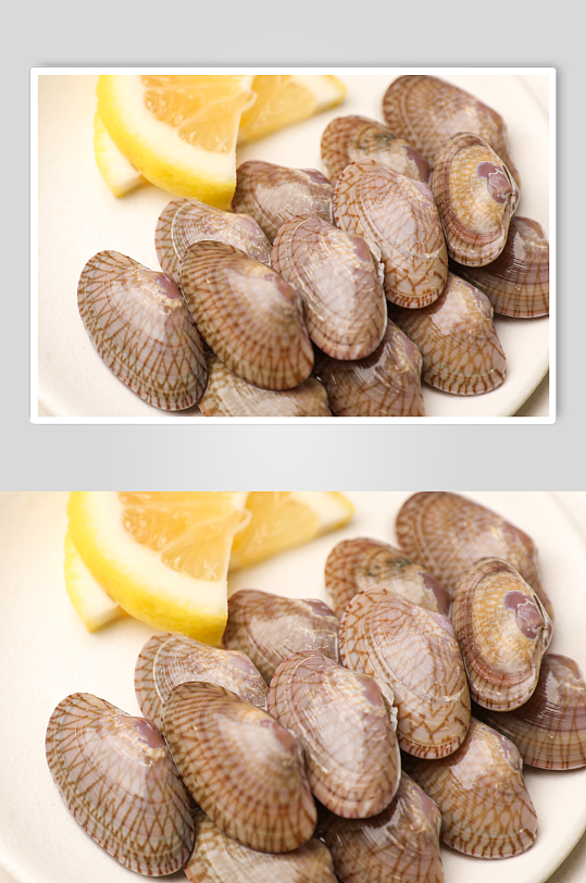 新鲜美味花甲生鲜海鲜美食摄影图片