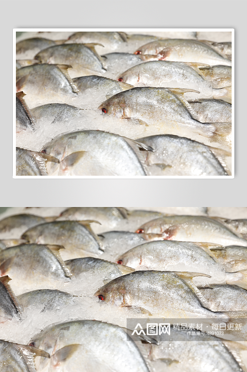 海鲜市场白鲳鱼海鲜美食摄影图片素材