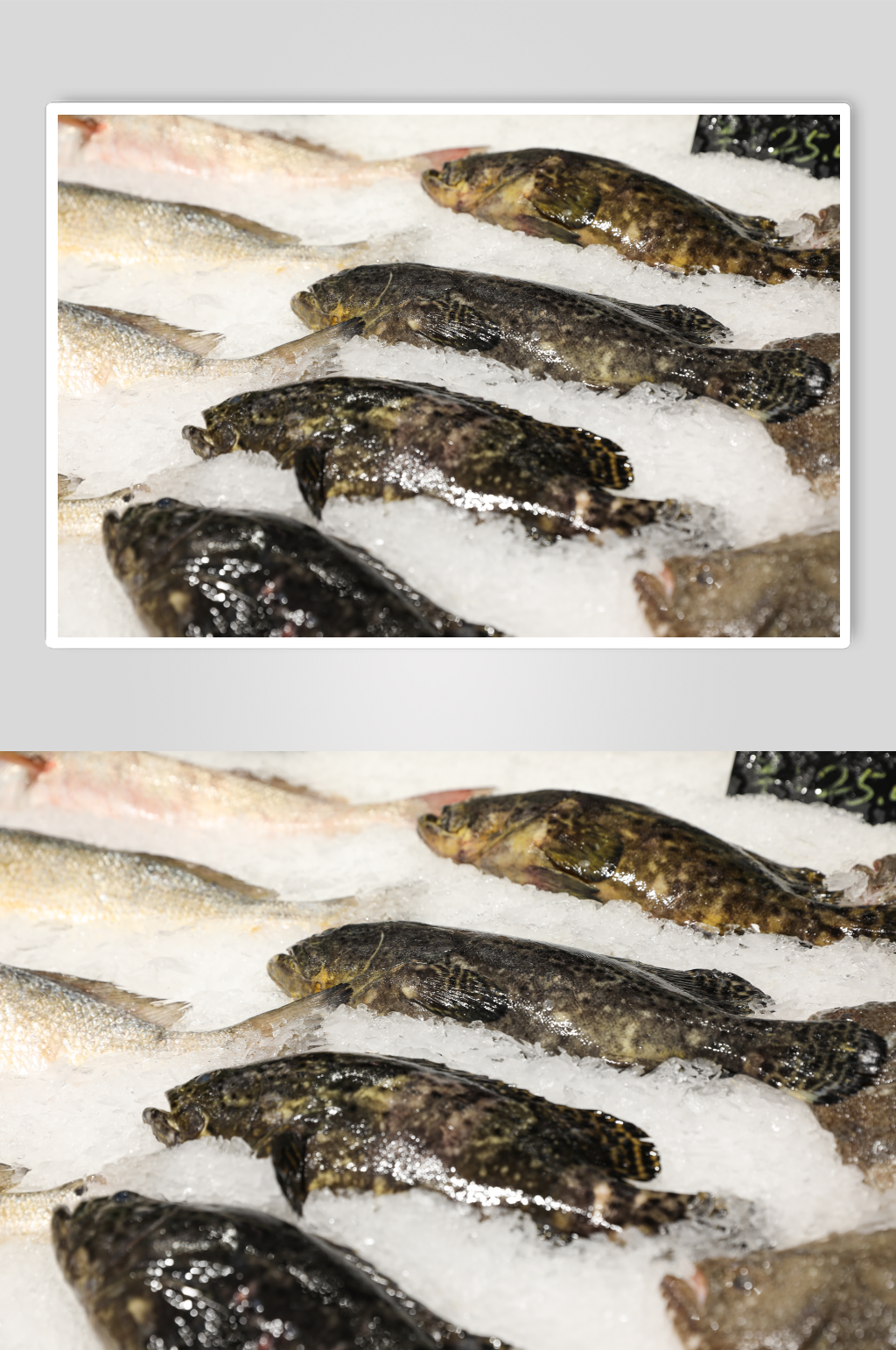 生鲜海鲜市场石斑鱼海鲜美食摄影图片素材