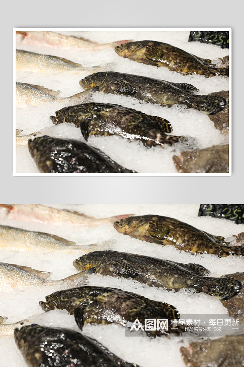 生鲜海鲜市场石斑鱼海鲜美食摄影图片素材