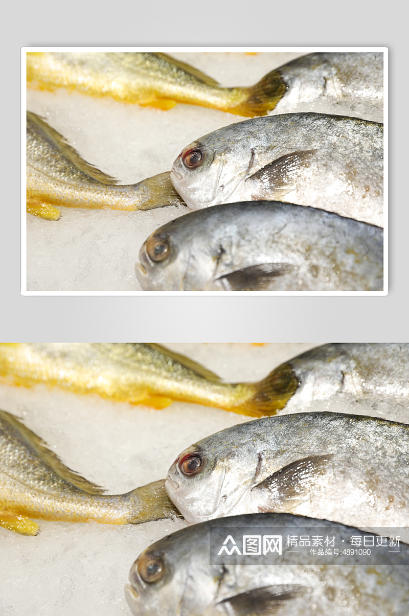 海鲜市场白鲳鱼海鲜美食摄影图片素材