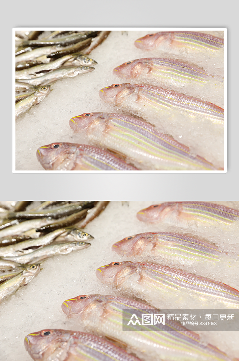 生鲜海鲜市场金线鱼海鲜美食摄影图片素材