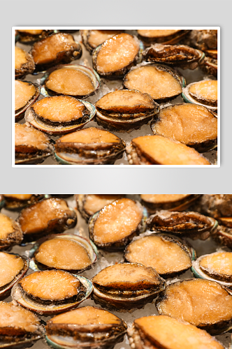 海货生鲜超市海产品海鲜鲍鱼摄影图片