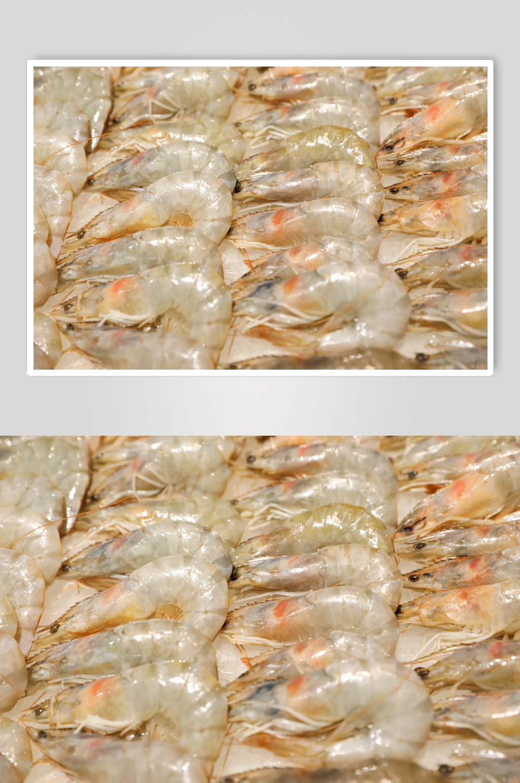 生鲜海鲜市场海虾大青虾海鲜摄影图片素材