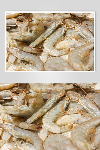 生鲜海鲜市场海虾大青虾海鲜摄影图片