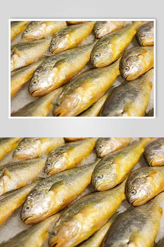 海鲜市场黄花鱼海鲜美食摄影图片