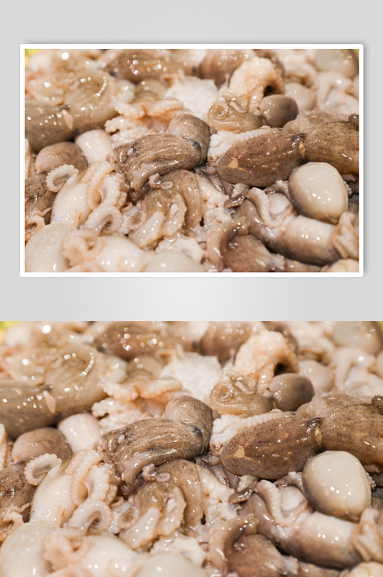 生鲜海鲜市场章鱼八爪鱼海鲜摄影图片