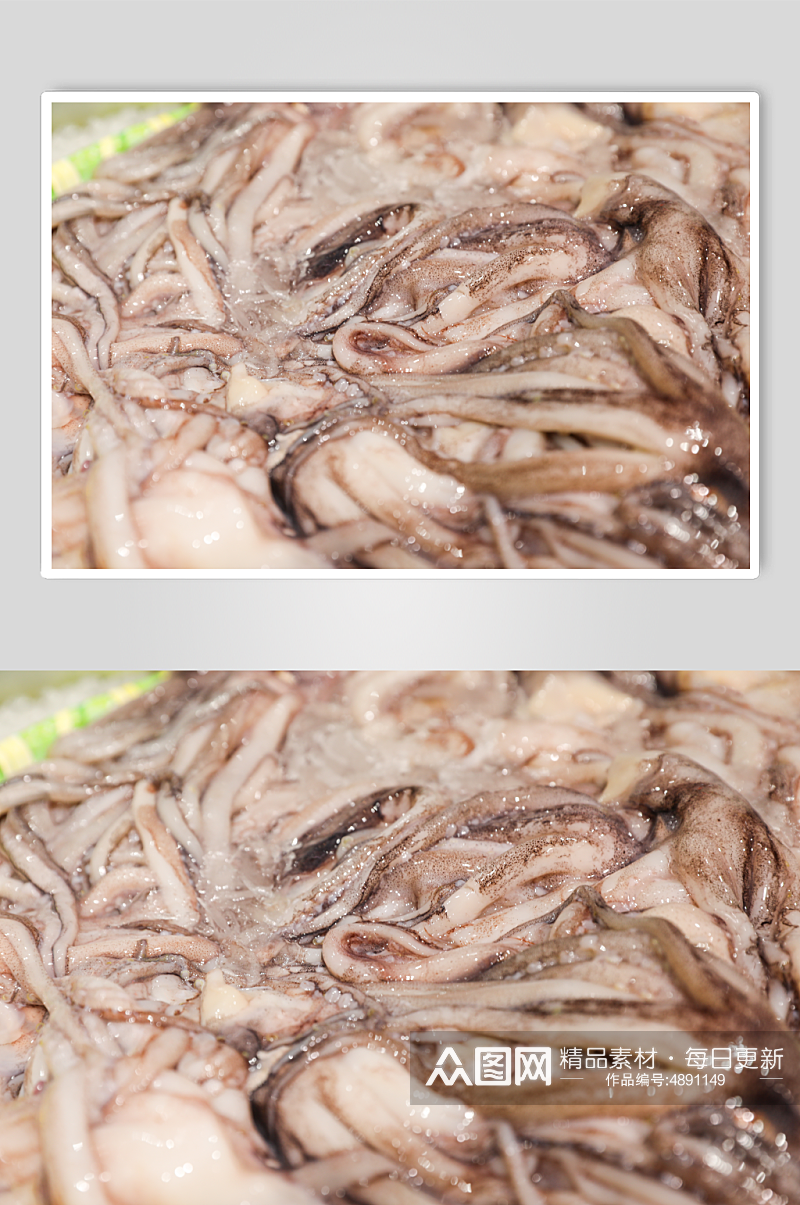生鲜海鲜市场鱿鱼须海鲜摄影图片素材