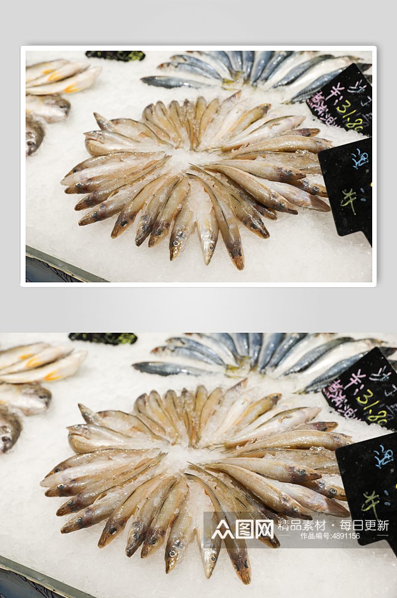 海货生鲜超市海产品海鲜沙丁鱼摄影图片素材