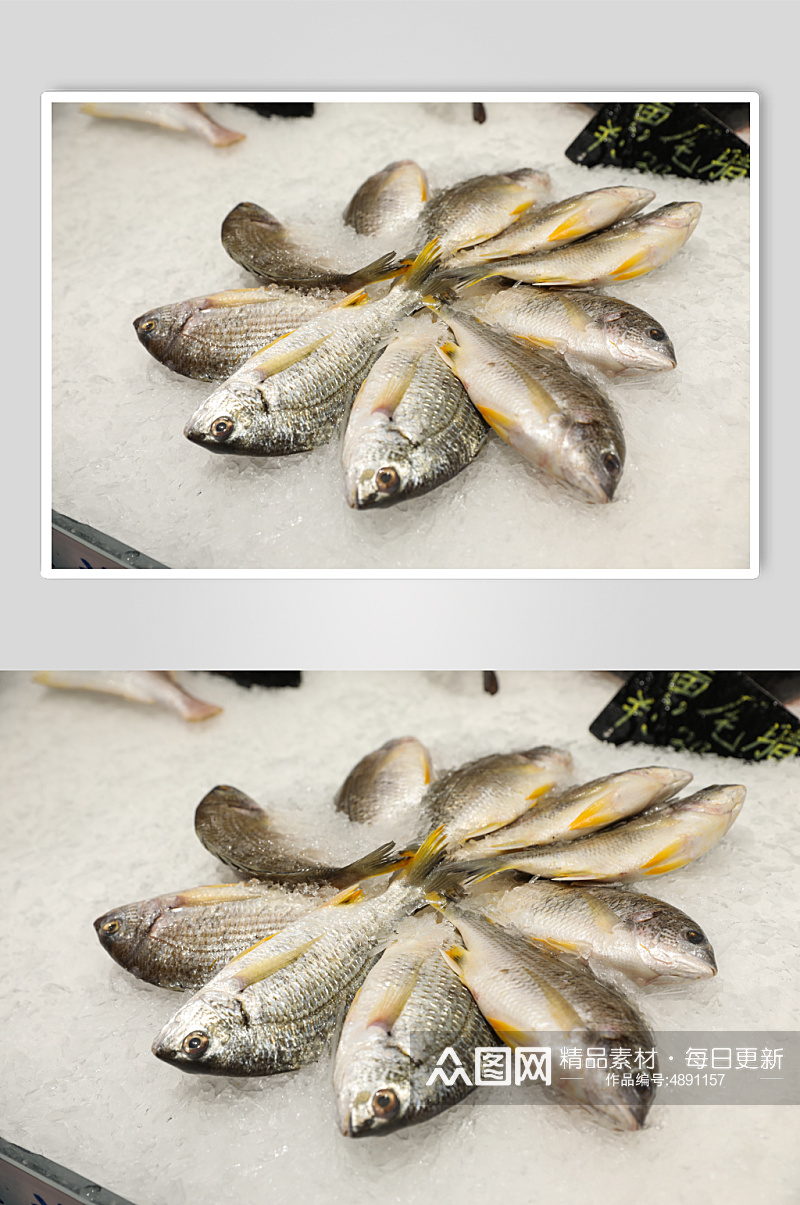 海鲜市场黄花鱼海鲜美食摄影图片素材