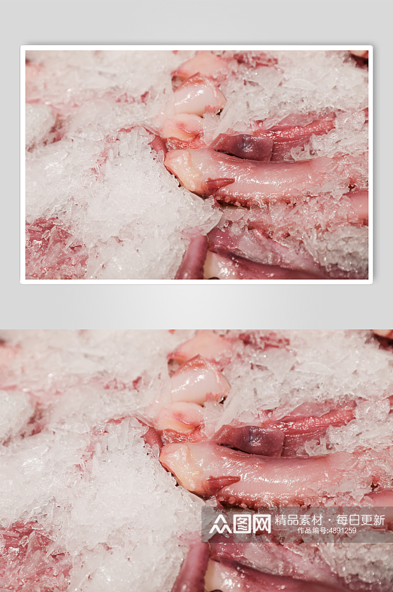 生鲜海鲜市场鱿鱼须海鲜摄影图片素材