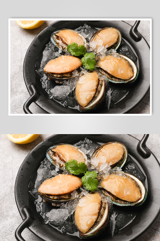 可口美味鲍鱼生鲜海鲜美食摄影图片